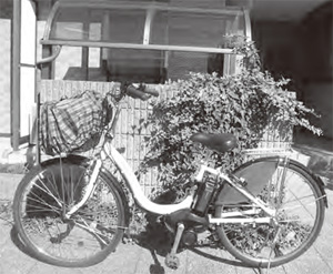 写真