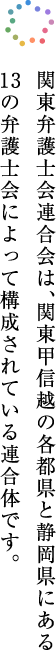 関東弁護士会連合会は,関東甲信越の各県と静岡県にある13の弁護士会によって構成されている連合体です。